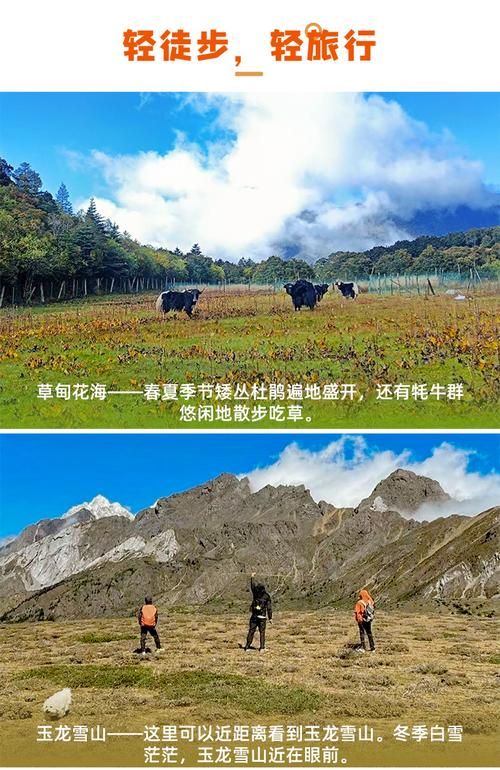 旅游招徕与委托操作的法律关系解析 以福建东南游国际旅行社为例